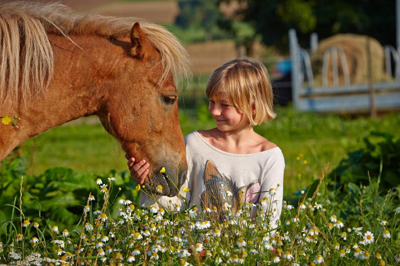 Appartamento Urlaubsreiterhof Trunk Igersheim Esterno foto